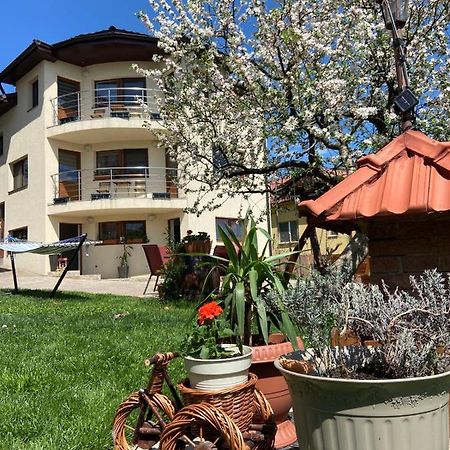 Casa Ana Cluj Apartment Exterior photo